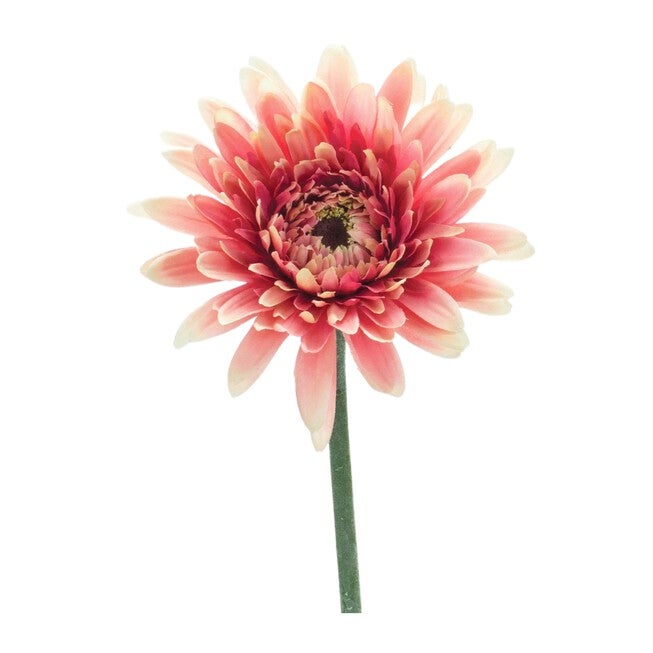 Gerbera Daisy Stem (Set of 6) 22 inchesH Polyester, PINK/GREEN, hi-res image number null