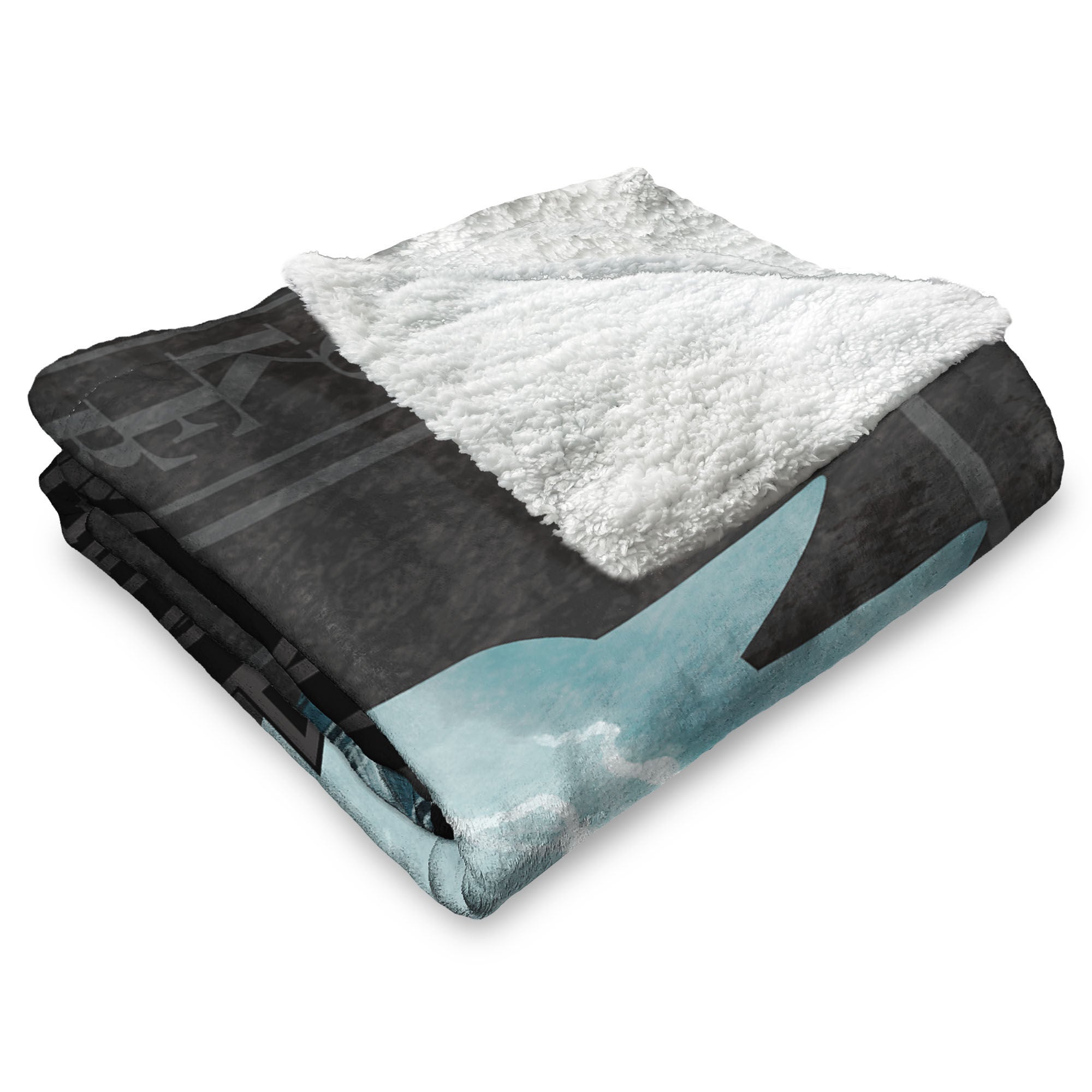 Warner Bros. DC Joker's Embrace Silk Touch Sherpa Throw Blanket 50x60 Inches, BLACK, alternate image number 3