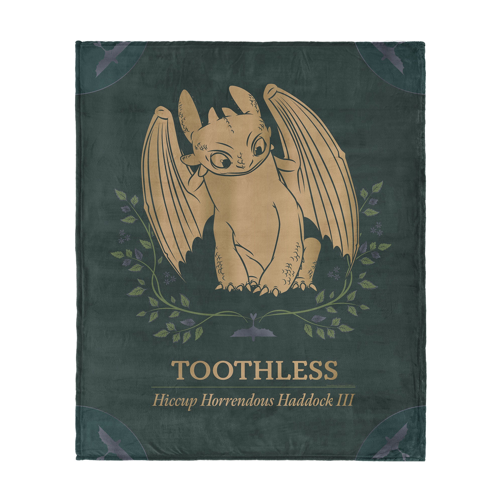 How to Train Your Dragon Hiccup and Toothless Silk Touch Throw Blanket 60x80 inches, GREEN, hi-res image number 0