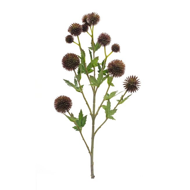 Allium Spray (Set of 6) 26 inchesH Plastic/Polyester, BROWN/GREEN, alternate image number 1