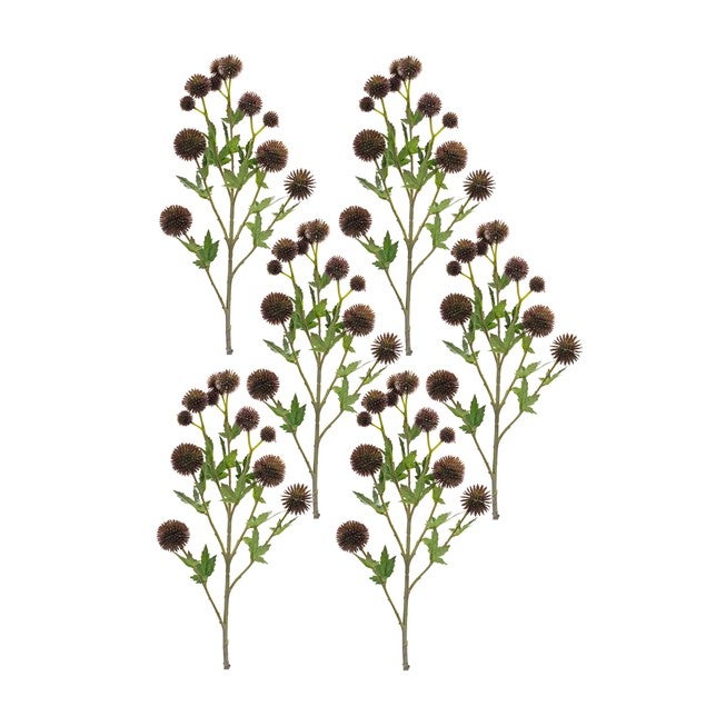 Allium Spray (Set of 6) 26 inchesH Plastic/Polyester, BROWN/GREEN, hi-res image number 0