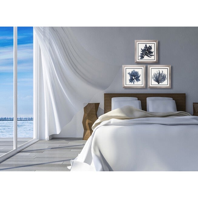Coastal Seaweed Framed Wall Décor, Set Of 3, , on-hover image number 1