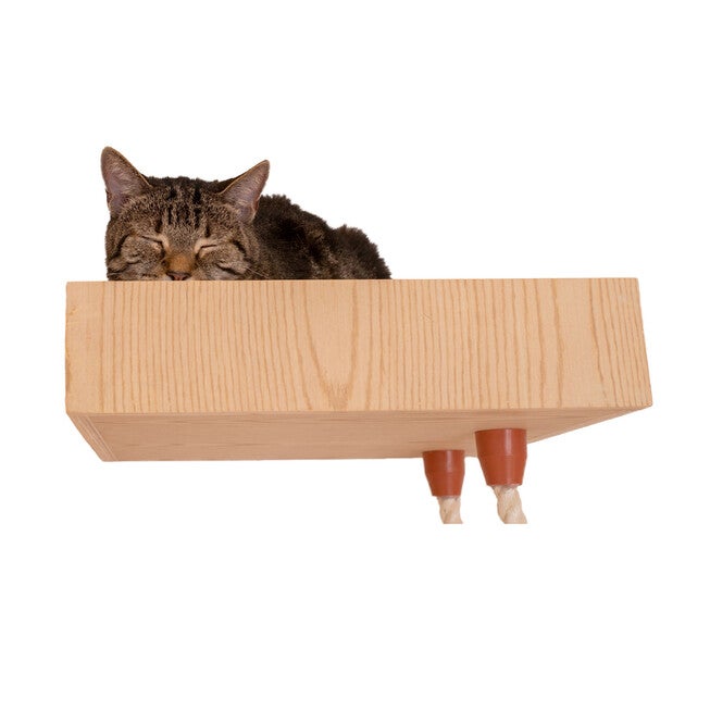 Real Wood Wall Series: Cat Soft Ladder, , alternate image number 7