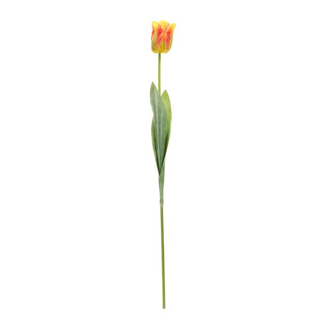 Tulip Stem (Set of 6) 27 inchesH Polyester/Plastic, GREEN/YELLOW, alternate image number 1