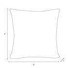 18" Outdoor Pillow, , alternate image number null