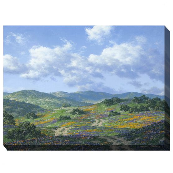 Take The Back Road.. Outdoor Art, MULTI, hi-res image number null