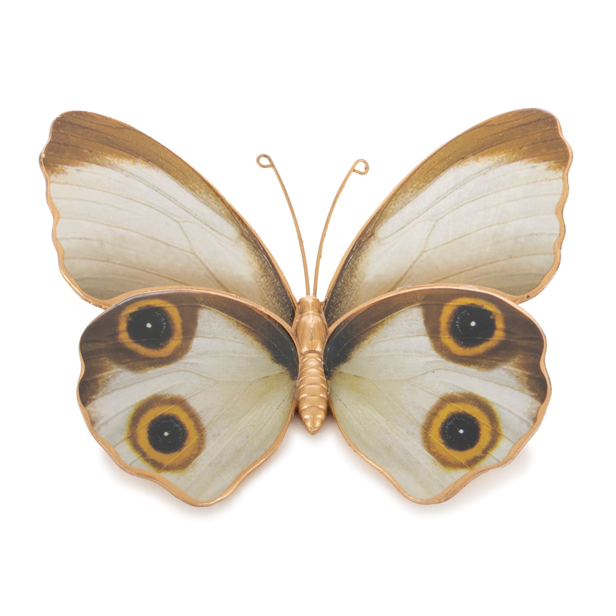 Amber Butterfly and Moth Shelf Sitter (Set of 2), WHITE/BROWN/ORANGE, alternate image number 1