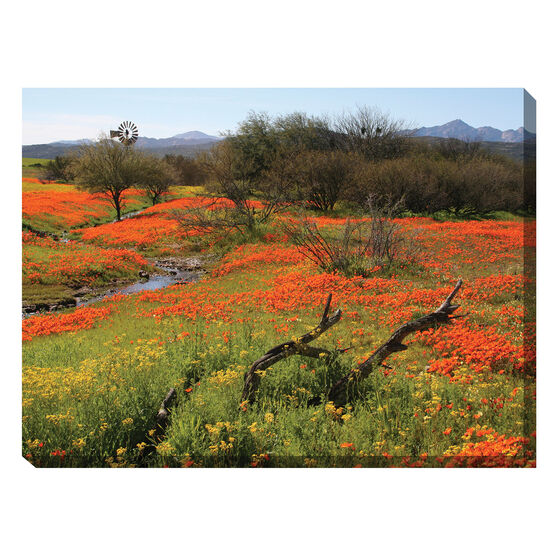 Home On The Range Outdoor Canvas Art, MULTI, hi-res image number null