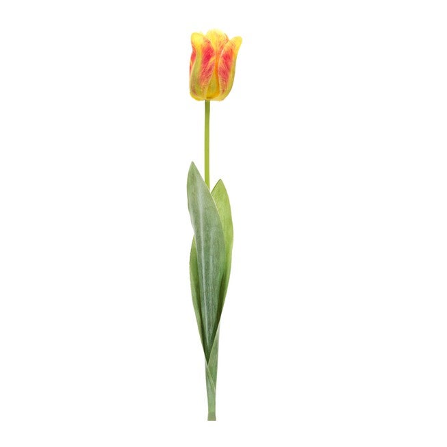 Tulip Stem (Set of 6) 27 inchesH Polyester/Plastic, GREEN/YELLOW, hi-res image number 0