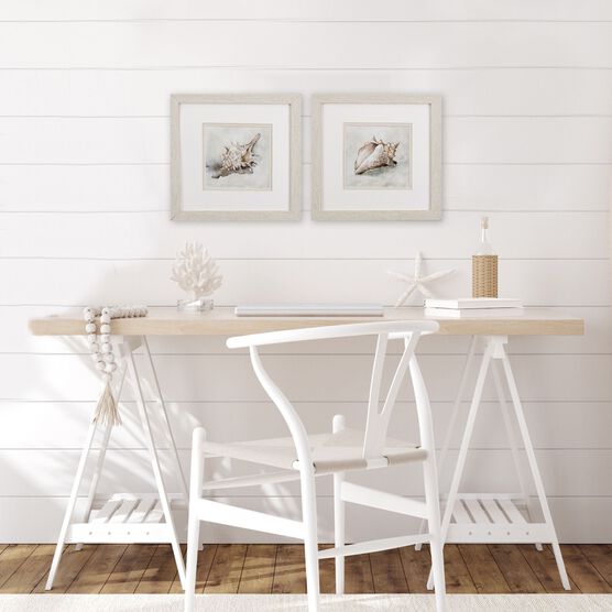 Seashell Textures Framed Wall Décor, Set Of 2, , on-hover image number null