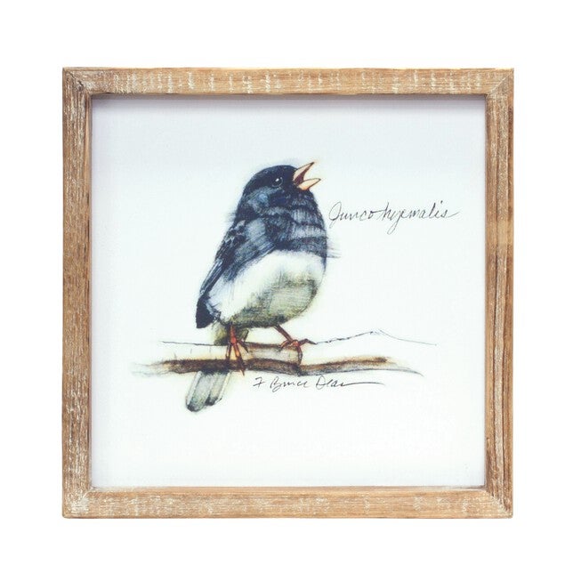 Framed Bird Print (Set of 4) 9.5 inchesSQ MDF/Wood, BROWN/WHITE, alternate image number 1