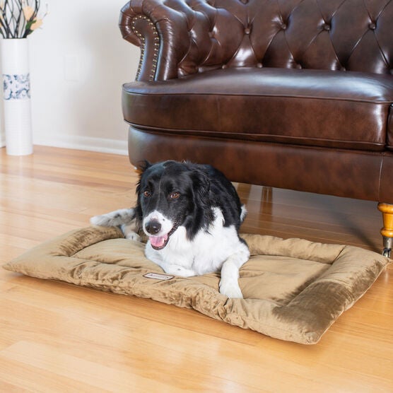 Pet Bed Mat, Dog Crate Soft Pad With Poly Fill Cushion, Large Sage Green, , on-hover image number null