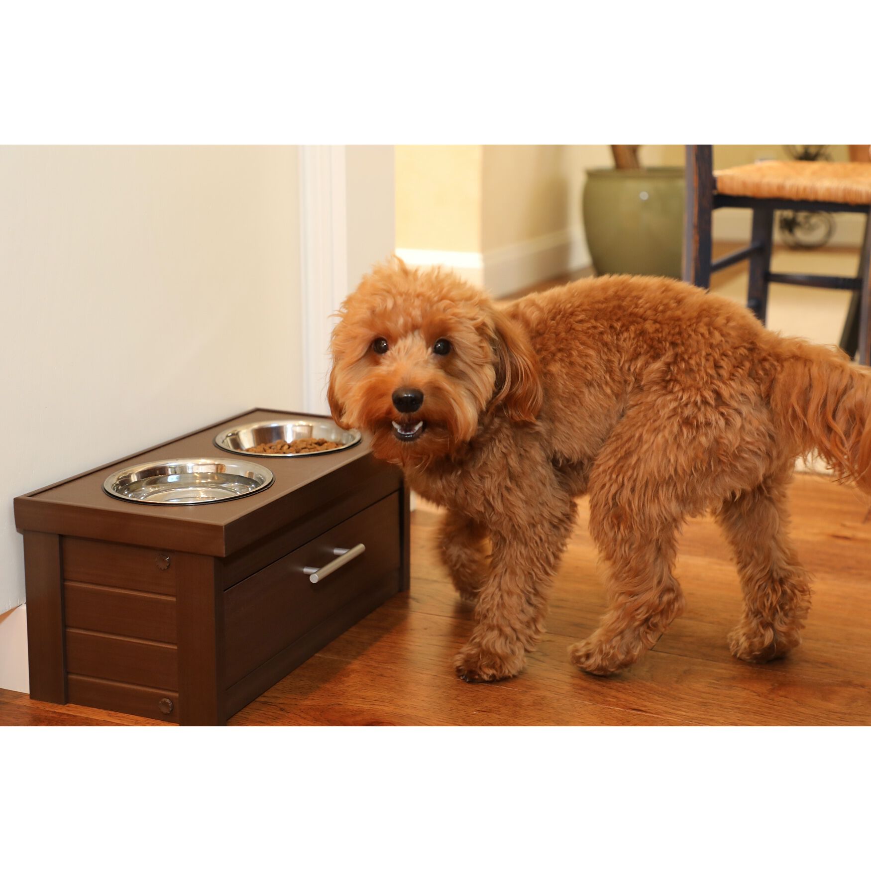 Piedmont Pet Dog Diner, , alternate image number 1