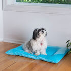Medium Pet Bed Mat , Dog Crate Soft Pad With Poly Fill Cushion, , on-hover image number 1