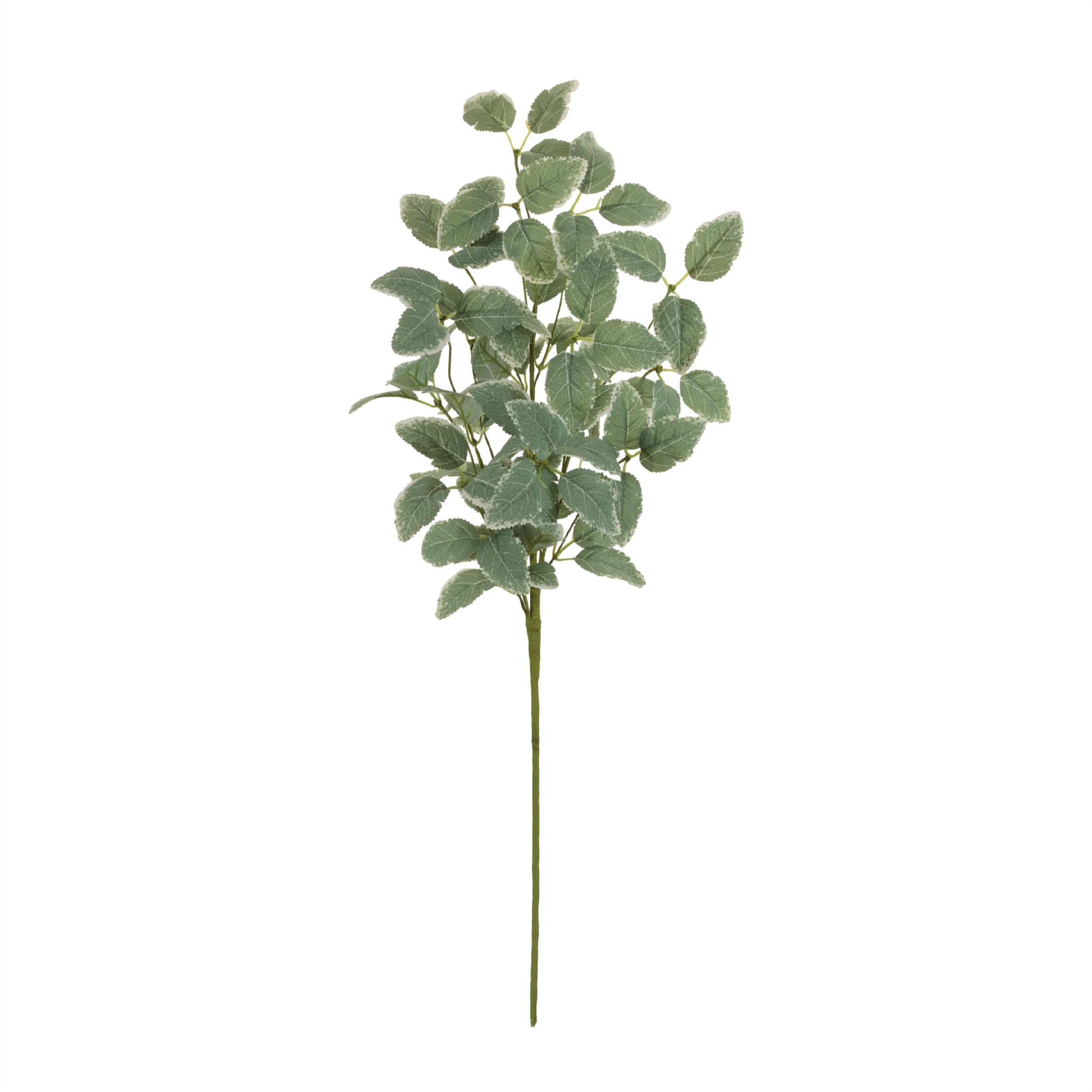 Variegated Foliage Spray Set of 2, GREEN, alternate image number 1