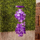 Purple Capiz Coastal Windchime, , alternate image number null