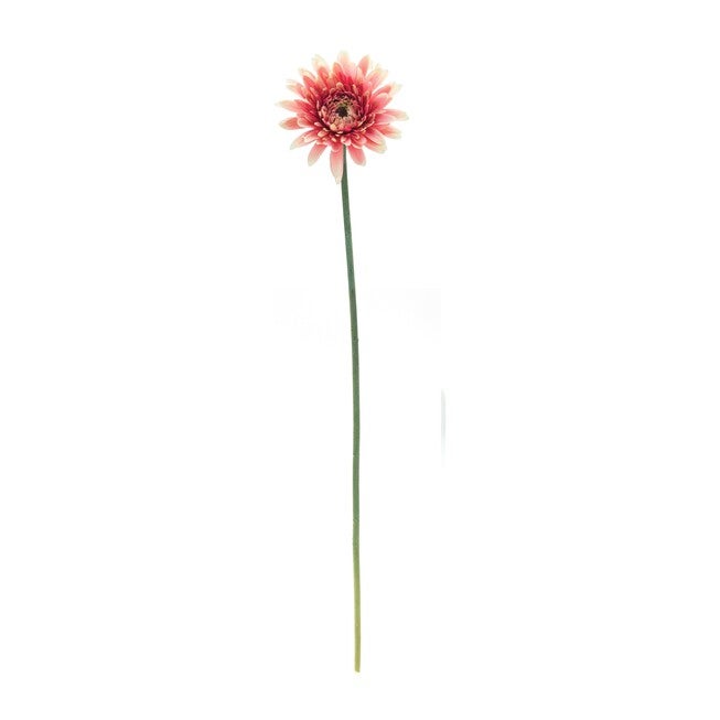 Gerbera Daisy Stem (Set of 6) 22 inchesH Polyester, PINK/GREEN, alternate image number null