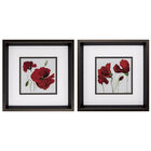 RED POPPY, RED, hi-res image number null