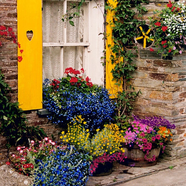 All Weather All Season Outdoor Canvas Art, MULTI, hi-res image number 0