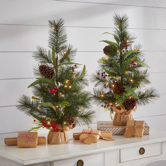 24" Pre-Lit Meri Tabletop Tree, MULTI, hi-res image number null