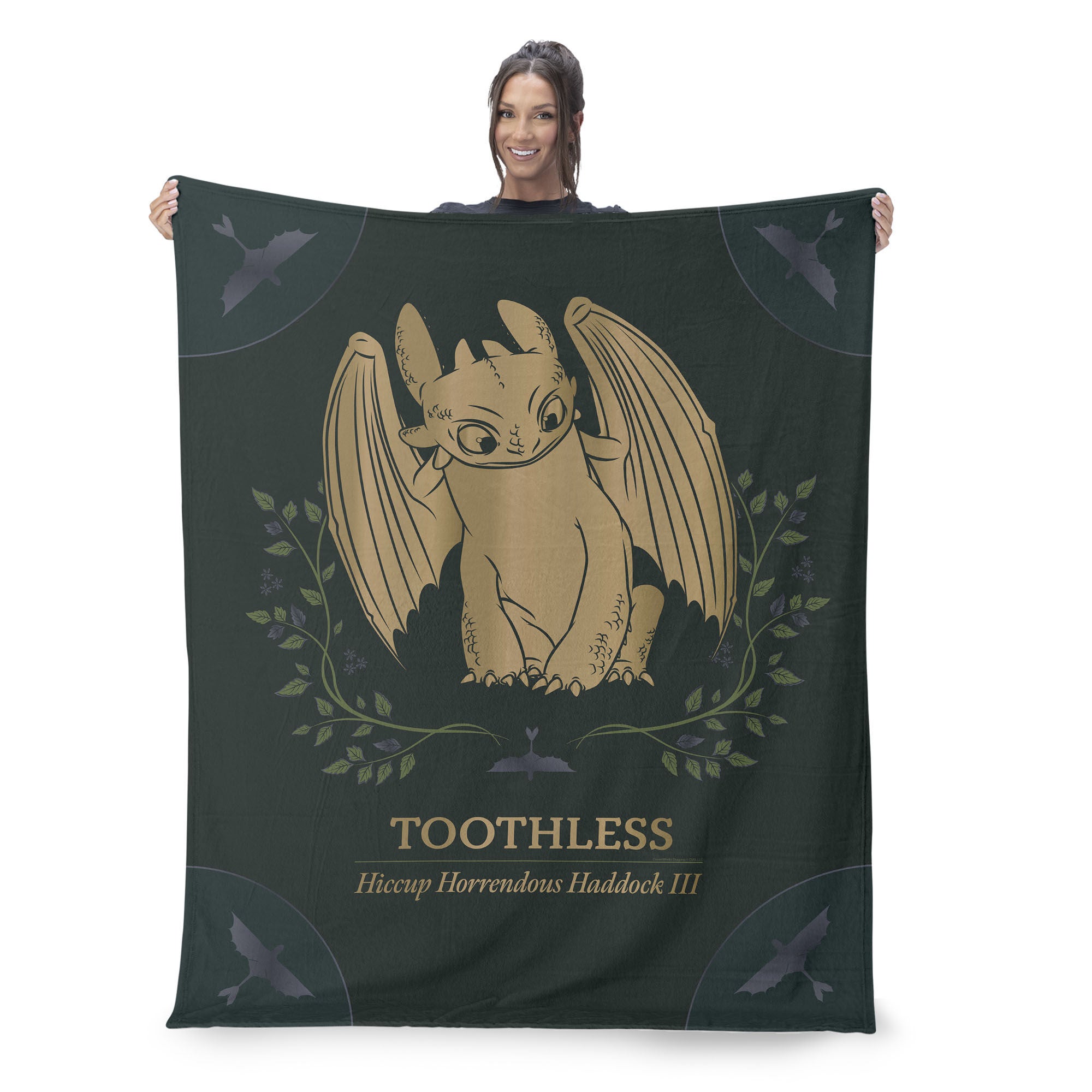 How to Train Your Dragon Silk Touch Throw Blanket 40x50 inches, DRAGON, on-hover image number 1