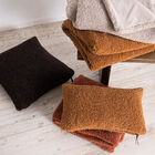 Teddy Sherpalux Plush Solid Throw, , alternate image number null