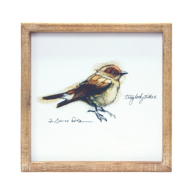 Framed Bird Print (Set of 4) 9.5 inchesSQ MDF/Wood, BROWN/WHITE, alternate image number 3