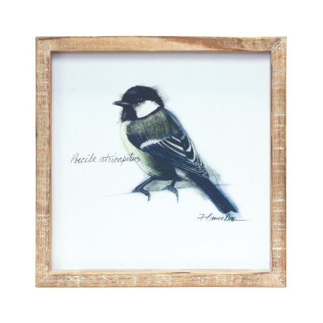 Framed Bird Print (Set of 4) 9.5 inchesSQ MDF/Wood, BROWN/WHITE, alternate image number 4