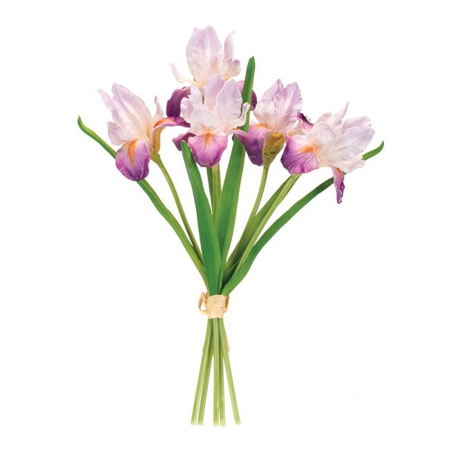 Purple Iris Floral Bundle (Set of 2), PURPLE/GREEN, hi-res image number 0