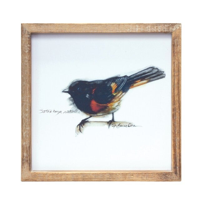Framed Bird Print (Set of 4) 9.5 inchesSQ MDF/Wood, BROWN/WHITE, alternate image number 2