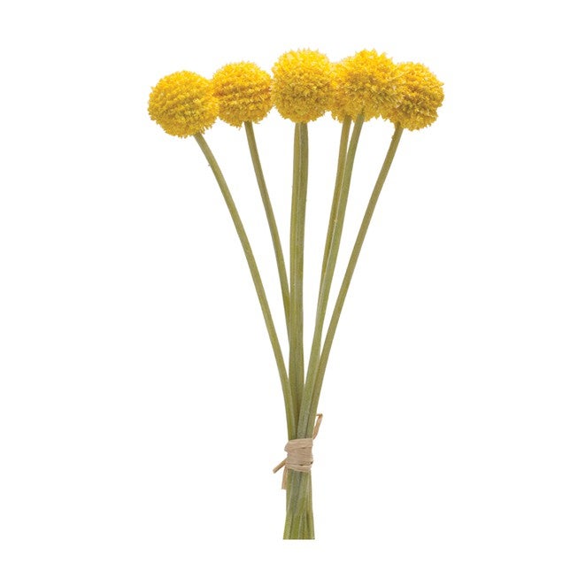 Pod Bundle (Set of 6) 13.25 inchesH Plastic, GREEN/YELLOW, hi-res image number 0