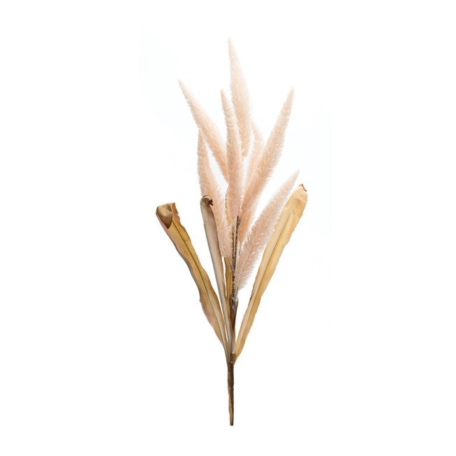 Foxtail Stem (Set of 2) 35.5 inchesH Polyester, PINK/BEIGE, hi-res image number 0