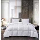 kathy ireland White Goose Feather and Down Comforter, WHITE, hi-res image number null