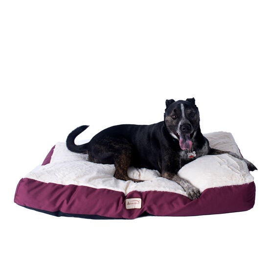 Large Pet Dog Bed, Mat With Poly Fill Cushion& Removable Cover, , alternate image number null