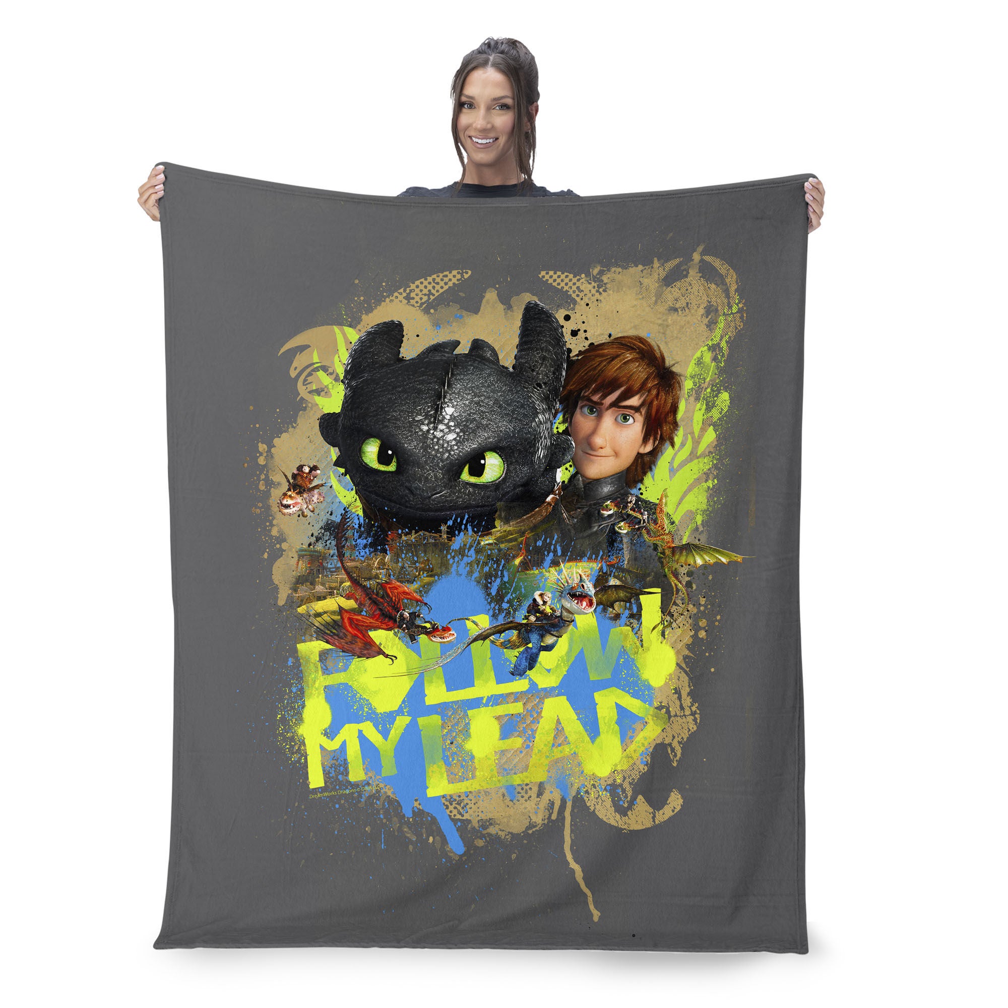 How to Train Your Dragon Follow My Lead Silk Touch Sherpa Throw Blanket 50x60 inches, GRAY, on-hover image number 1