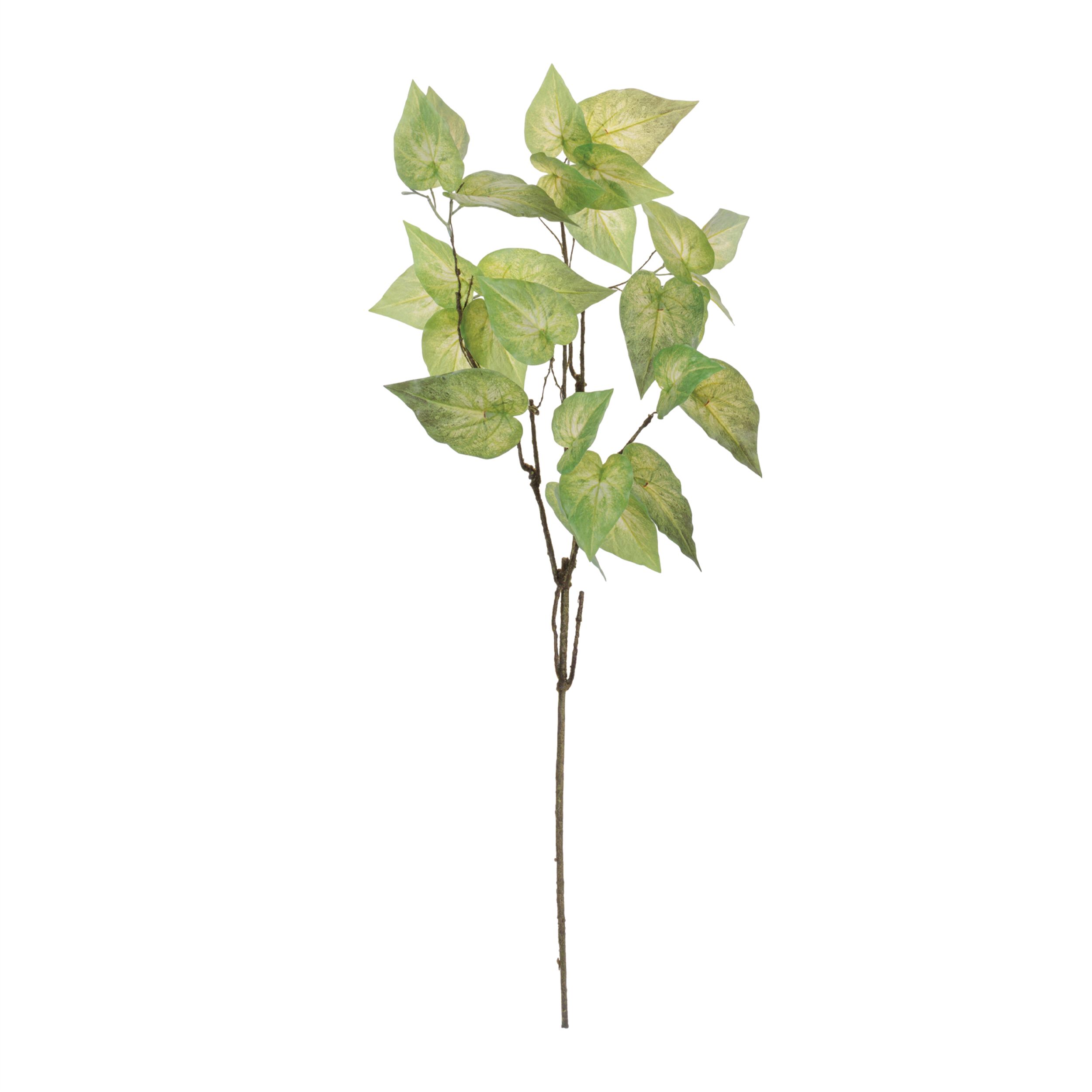 Anthurium Leaf Branch Set of 4, GREEN, alternate image number 1