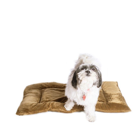 Pet Bed Mat, Dog Crate Soft Pad With Poly Fill Cushion, Medium Sage Green, , alternate image number null