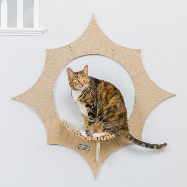 Sun Shape Cat Wall Shelves, , alternate image number 4