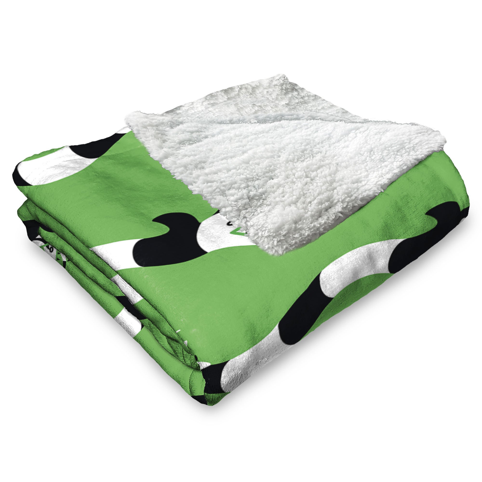 Warner Bros. Beetlejuice No Rules Silk Touch Sherpa Throw Blanket 50X60 Inches, GREEN, alternate image number 3