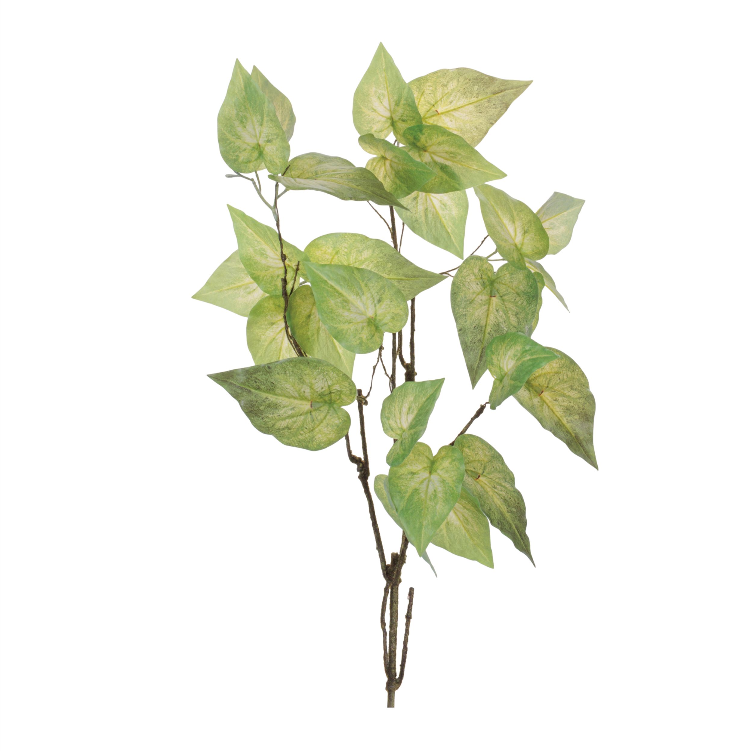 Anthurium Leaf Branch Set of 4, GREEN, hi-res image number 0