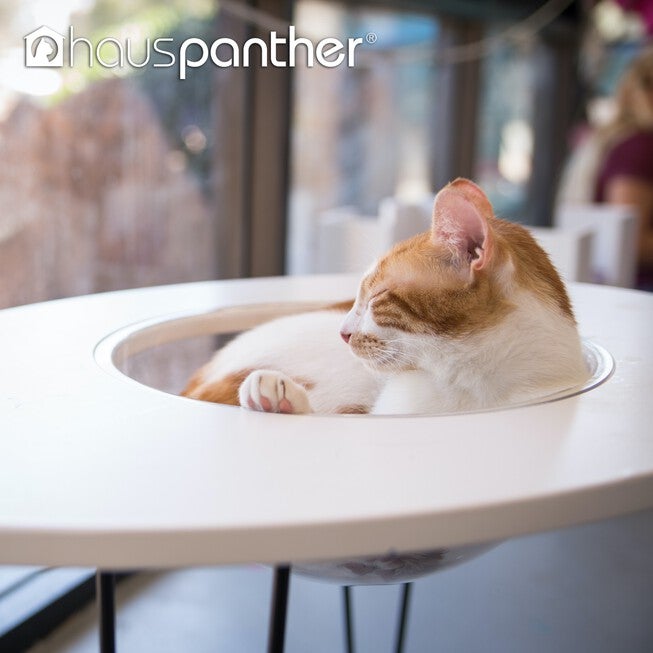 Hauspanther NestEgg - Raised Cat Bed & Side Table, , alternate image number null