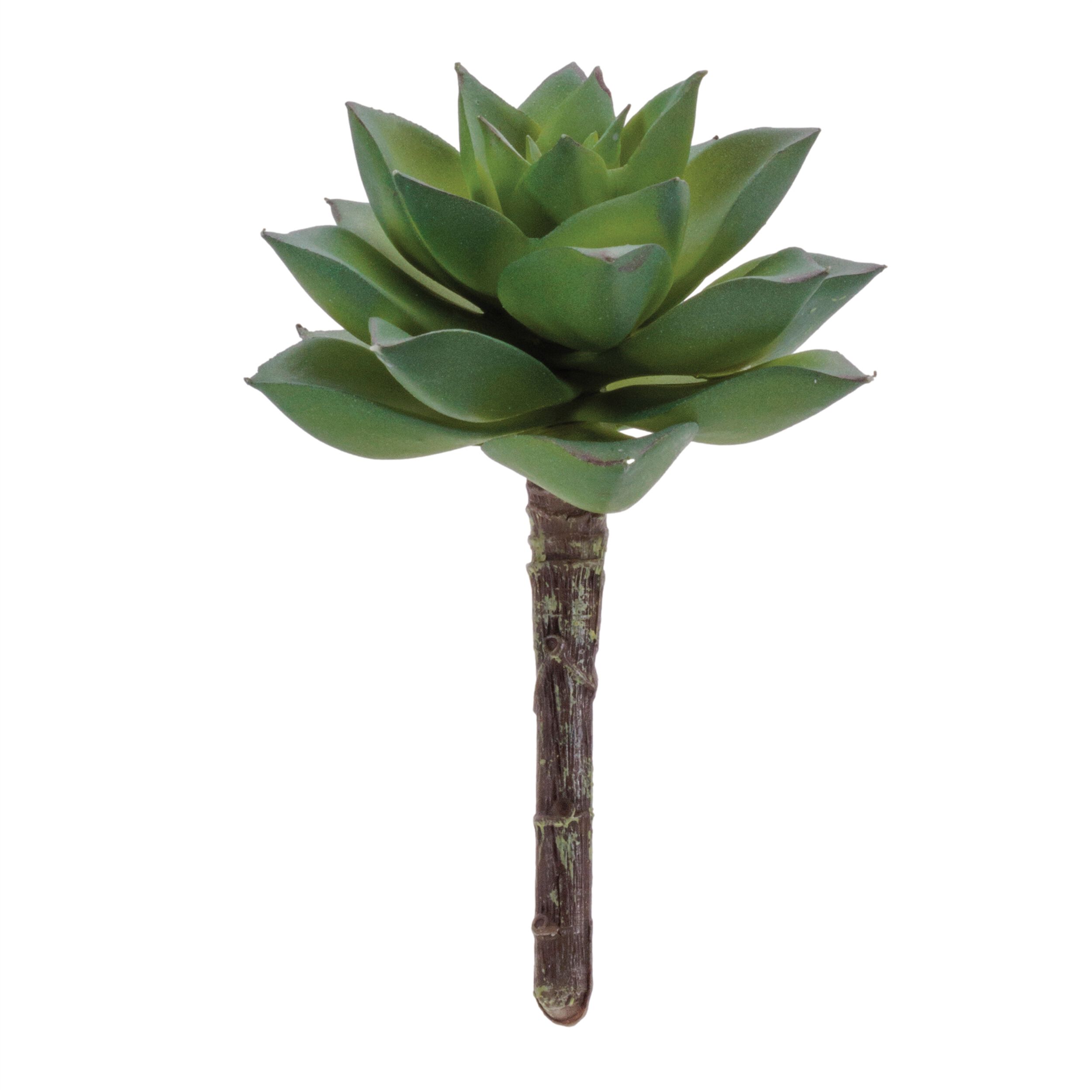 Succulent Plant Pick Set of 12, GREEN, hi-res image number 0