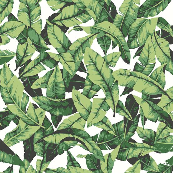 Peel And Stick Wallpaper, PALM LEAF GREEN, hi-res image number null