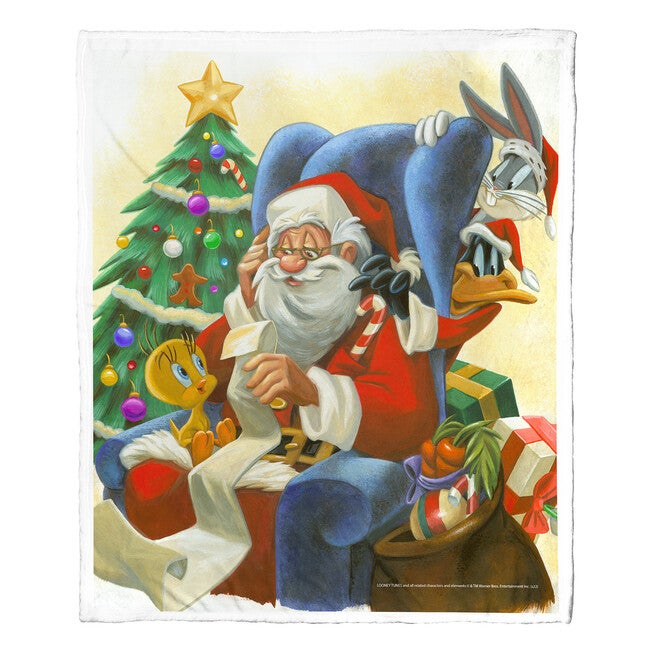 Wb Looney Tunes Check It Twice Silk Touch Throw, , on-hover image number null