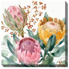 Protea Passion Outdoor Art, MULTI, hi-res image number null