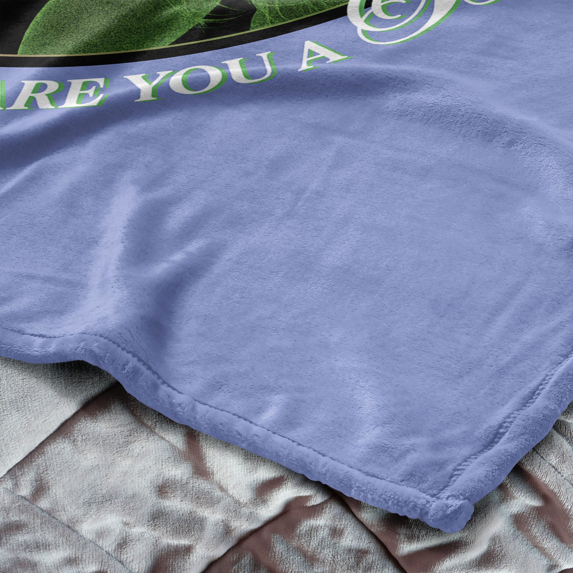 Warner Bros. The Wizard of Oz Good Witch Silk Touch Throw Blanket 50x60 Inches, WICKED THROW, alternate image number 4