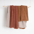 Teddy Sherpalux Plush Solid Throw, , alternate image number null