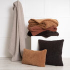 Teddy Sherpalux Plush Solid Throw, , alternate image number null