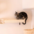 Real Wood Wall Series: Cat Scratching Post, , alternate image number null