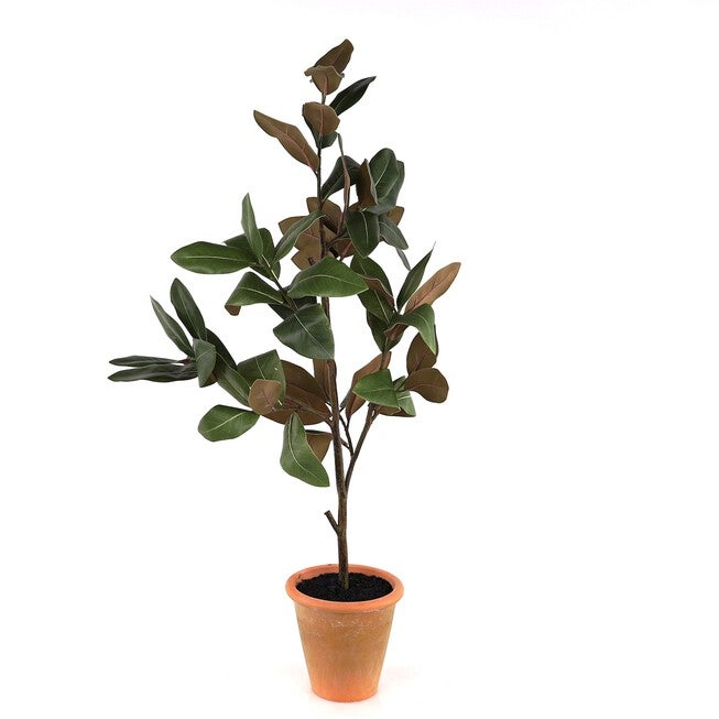 Potted Magnolia Sapling 41 inchesH Polyester/Terra Cotta, GREEN, hi-res image number null
